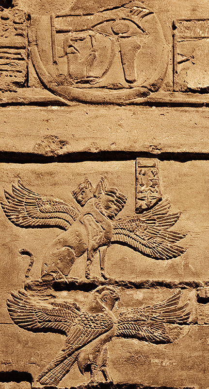 Hieroglyphics Many Wings